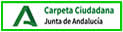 CARPETA JUNTA